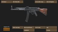 The STG44 loadout (Image via sym.gg)